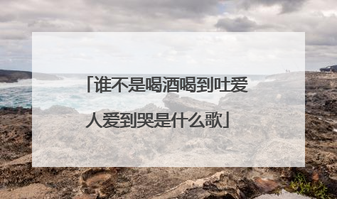 谁不是喝酒喝到吐爱人爱到哭是什么歌