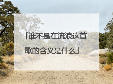 谁不是在流浪这首歌的含义是什么