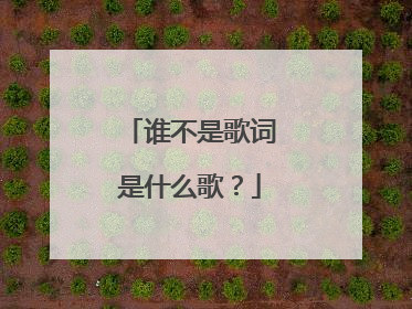 谁不是歌词是什么歌？