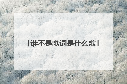 谁不是歌词是什么歌