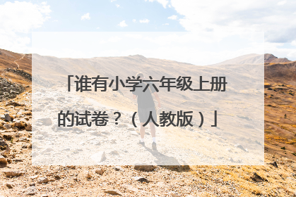 谁有小学六年级上册的试卷？（人教版）