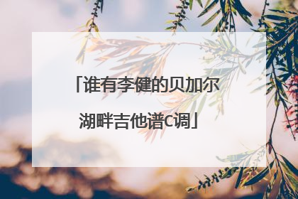谁有李健的贝加尔湖畔吉他谱C调