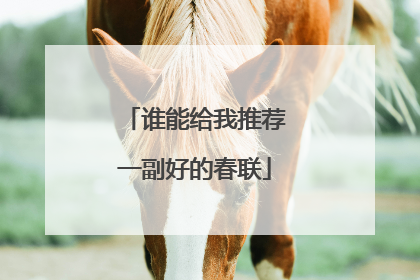 谁能给我推荐一副好的春联