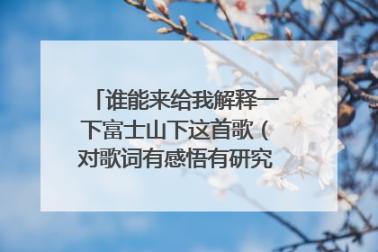 谁能来给我解释一下富士山下这首歌(对歌词有感悟有研究的朋友进)