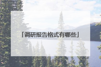 调研报告格式有哪些