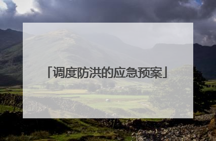 调度防洪的应急预案