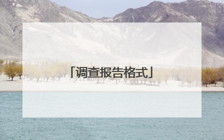 调查报告格式