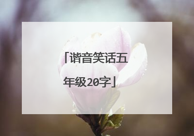 谐音笑话五年级20字