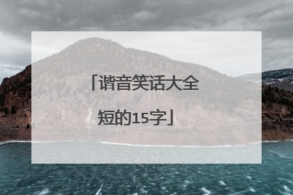 谐音笑话大全短的15字