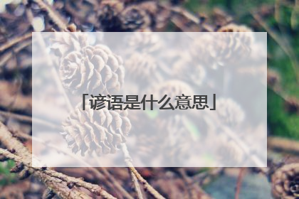 谚语是什么意思