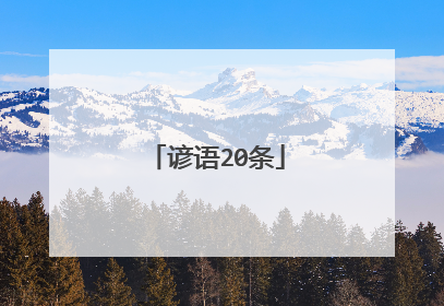 谚语20条