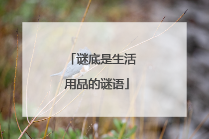 谜底是生活用品的谜语