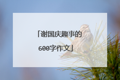谢国庆趣事的600字作文