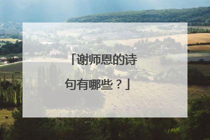 谢师恩的诗句有哪些？