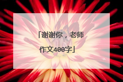 谢谢你，老师作文400字