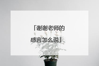 谢谢老师的感言怎么说