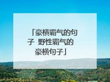 豪横霸气的句子 野性霸气的豪横句子