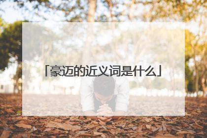 豪迈的近义词是什么