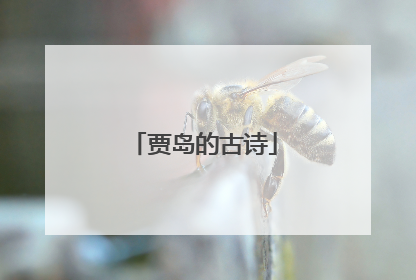 贾岛的古诗