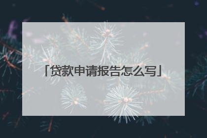 贷款申请报告怎么写