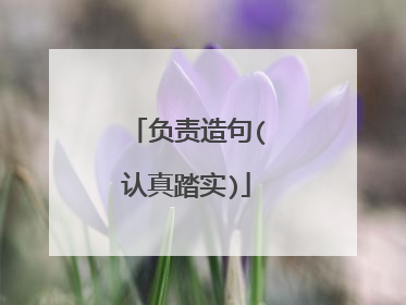 负责造句(认真踏实)