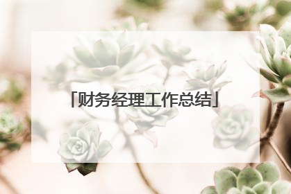 财务经理工作总结
