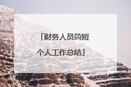 财务人员简短个人工作总结