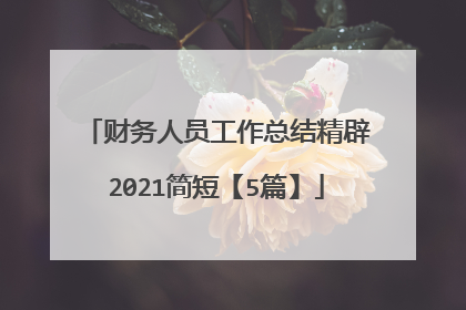 财务人员工作总结精辟2021简短【5篇】