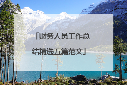 财务人员工作总结精选五篇范文