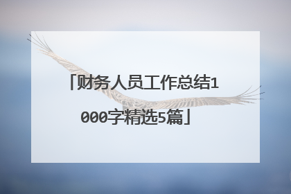 财务人员工作总结1000字精选5篇