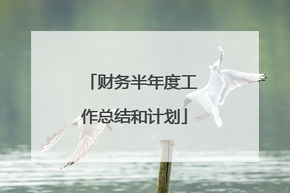 财务半年度工作总结和计划