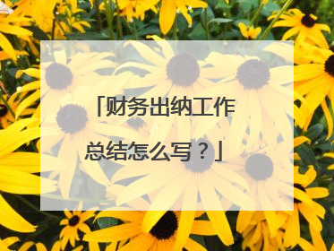 财务出纳工作总结怎么写？