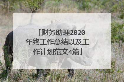 财务助理2020年终工作总结以及工作计划范文4篇