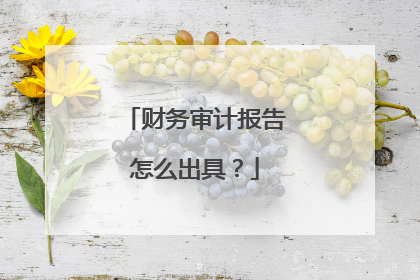 财务审计报告怎么出具？