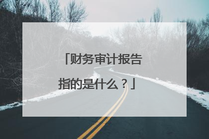 财务审计报告指的是什么？