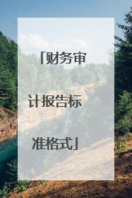 财务审计报告标准格式