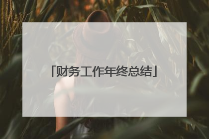 财务工作年终总结