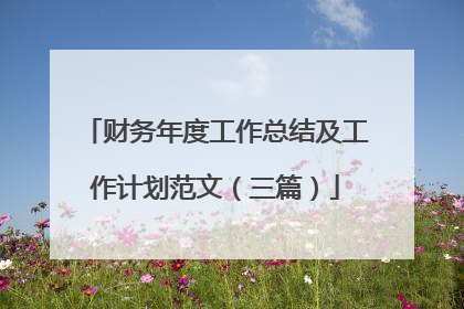 财务年度工作总结及工作计划范文（三篇）