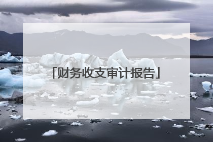 财务收支审计报告