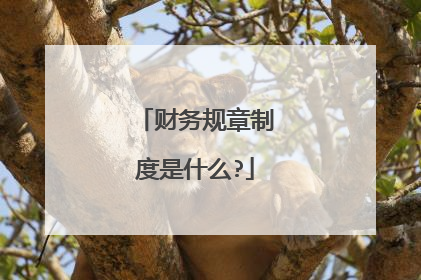 财务规章制度是什么?