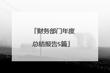 财务部门年度总结报告5篇