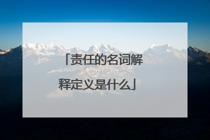 责任的名词解释定义是什么