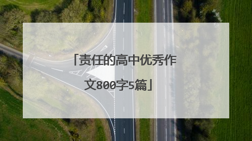 责任的高中优秀作文800字5篇