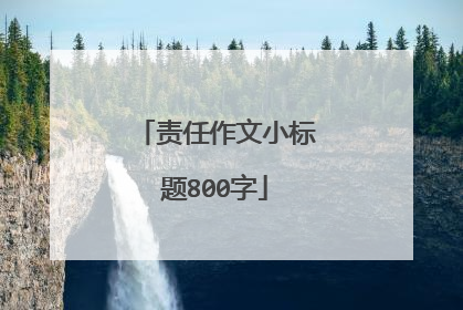 责任作文小标题800字