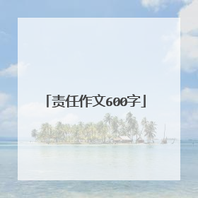 责任作文600字