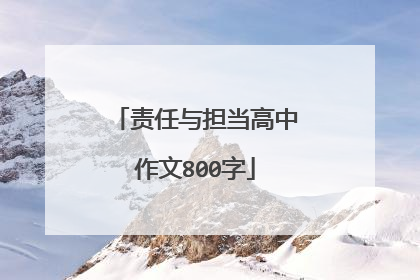 责任与担当高中作文800字