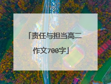 责任与担当高二作文700字