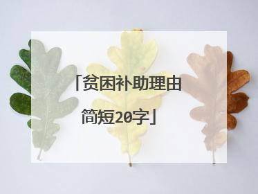 贫困补助理由简短20字