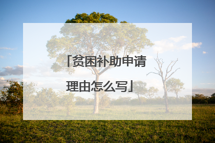 贫困补助申请理由怎么写
