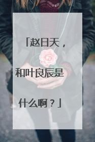 赵日天，和叶良辰是什么啊？
